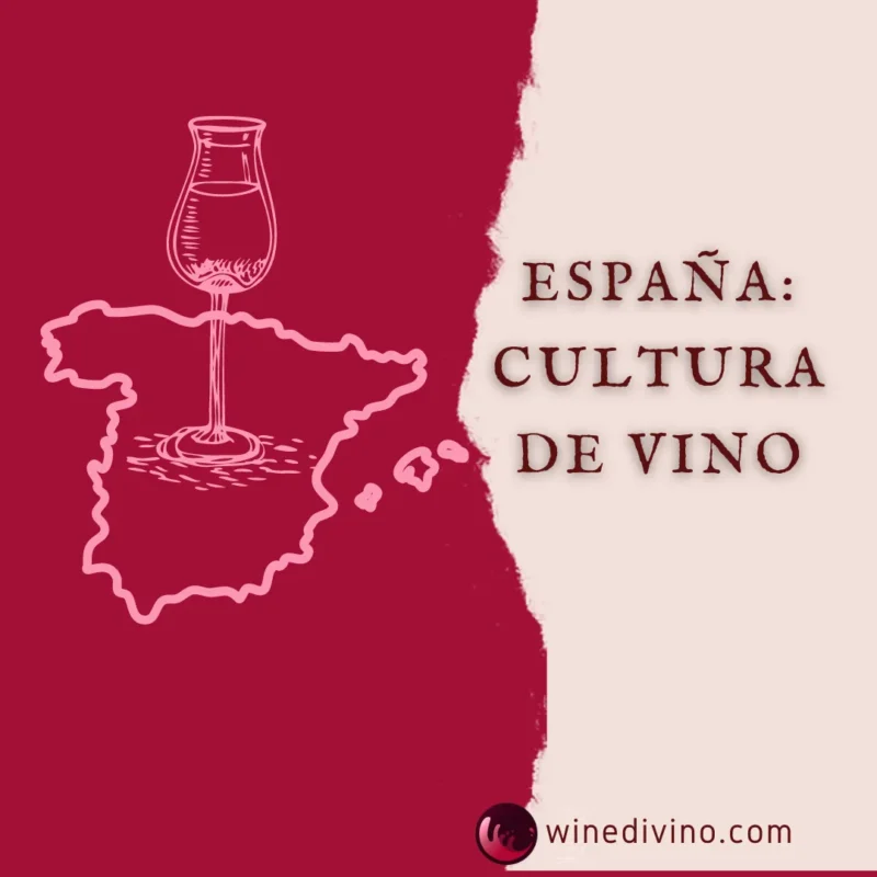 La cultura del vino en España: regiones, variedades y tradiciones