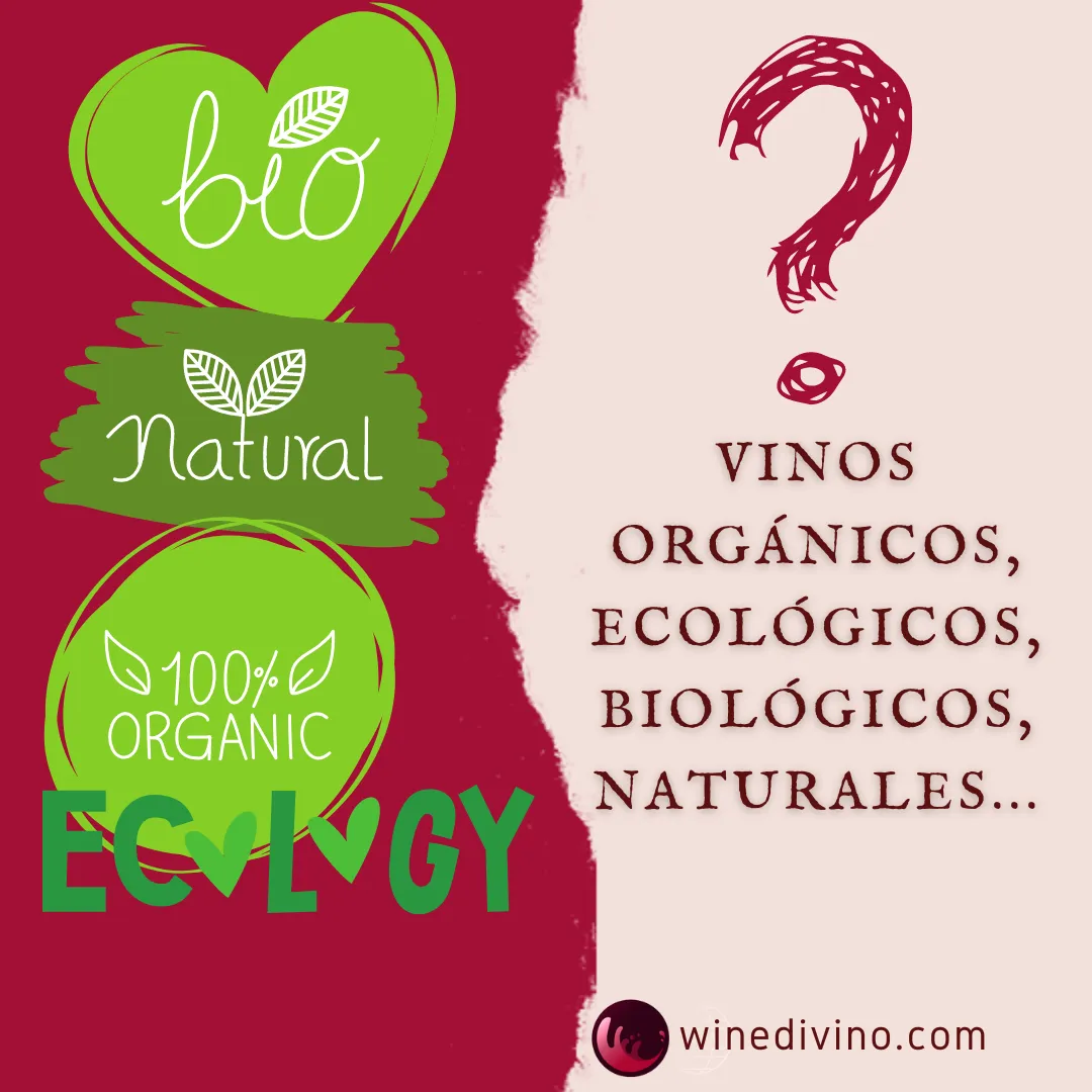 Qué es y en qué se diferencian el vino ecológico, natural,biológico y natural