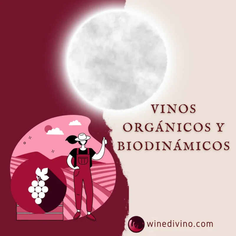 Vinos orgánicos y biodinámicos